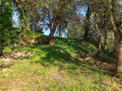 299 Gull Rd, View Royal, BC 