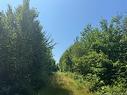 Vacant Lot Ch Nw Aldouane River Rd, Saint-Charles, NB 