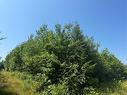 Vacant Lot Ch Nw Aldouane River Rd, Saint-Charles, NB 
