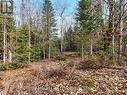 3410 Southwood Road, Gravenhurst (Wood (Gravenhurst)), ON 