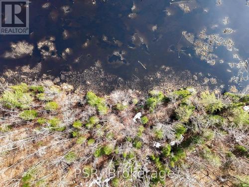 3410 Southwood Road, Gravenhurst (Wood (Gravenhurst)), ON 