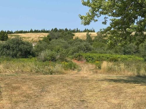 10217 Highway 209, Diligent River, NS 