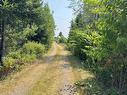 10217 Highway 209, Diligent River, NS 