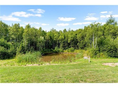 9 Streamside Crt, Moncton, NB 