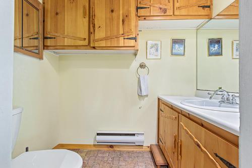 Salle d'eau - 3785 Rue Rolland, Sainte-Adèle, QC - Indoor Photo Showing Bathroom