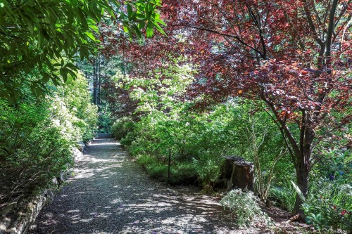 1717 Glen Urquhart Dr, Courtenay, BC 