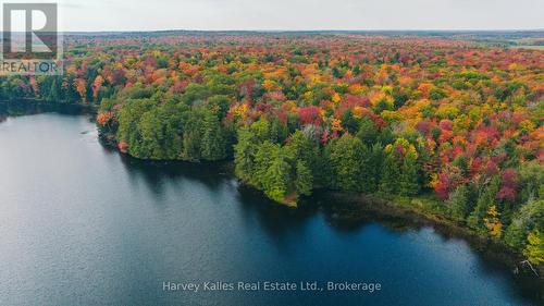 0 Windermere Road, Muskoka Lakes (Watt), ON 