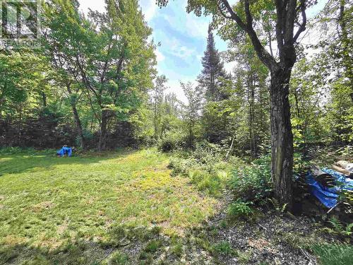 . Brady Rd, Iron Bridge, ON - Outdoor