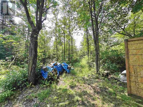 . Brady Rd, Iron Bridge, ON - Outdoor