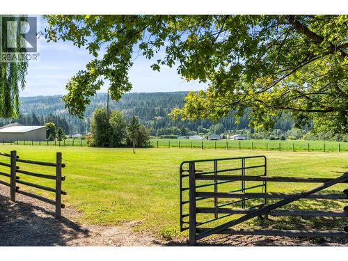 48 Waterside Road, Enderby, BC - Outdoor With View
