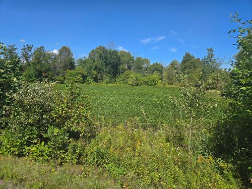 Terre/Terrain - Ch. Newton, Mascouche, QC 