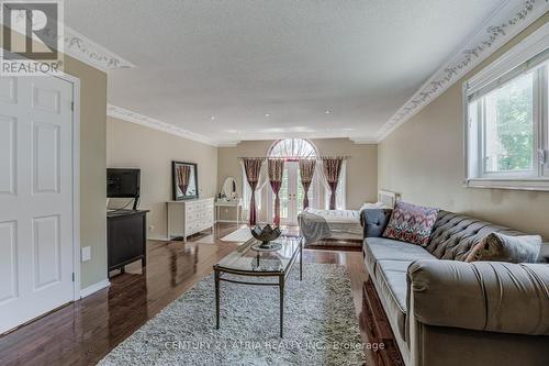331 Binns Avenue, Newmarket, ON - Indoor Photo Showing Living Room