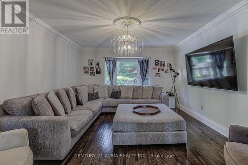 331 Binns Avenue, Newmarket, ON - Indoor Photo Showing Living Room