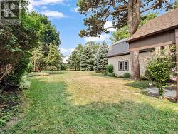 Beautiful back yard - 