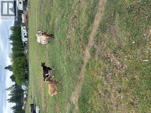 224 Coalmont Road, Princeton, BC 