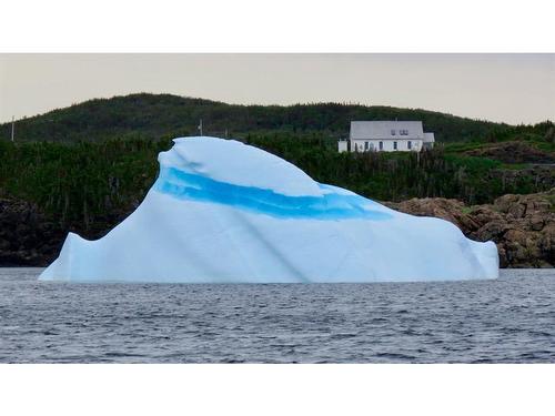 4 Green Cove Road, Pike'S Arm, NL 