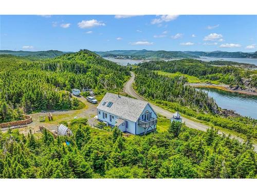 4 Green Cove Road, Pike'S Arm, NL 