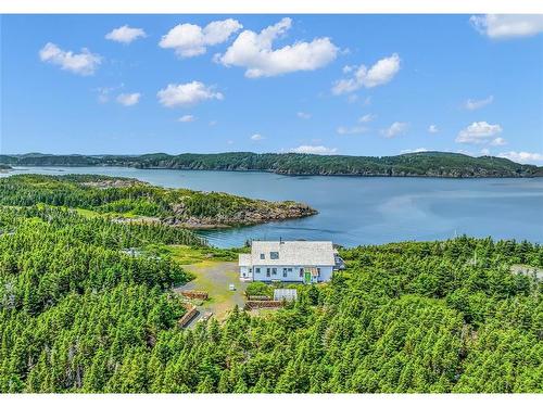 4 Green Cove Road, Pike'S Arm, NL 