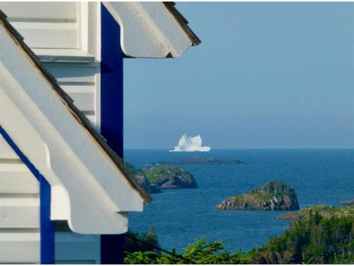 4 Green Cove Road, Pike'S Arm, NL 