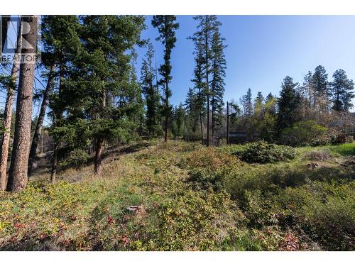 Back middle of property - 3297 Hall Road, Kelowna, BC - Outdoor With View