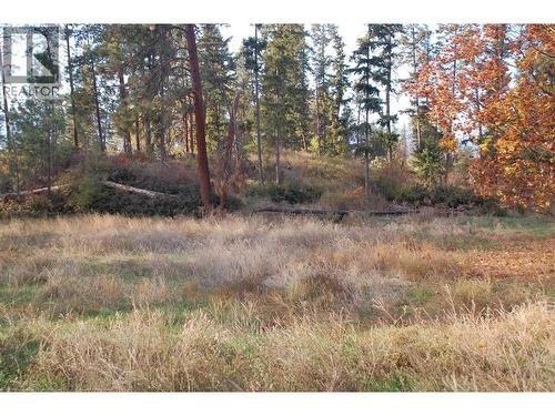 Flat middle area - 3297 Hall Road, Kelowna, BC - Outdoor With View