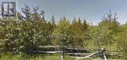 253 Craigen Road, Stone Mills (Stone Mills), ON 