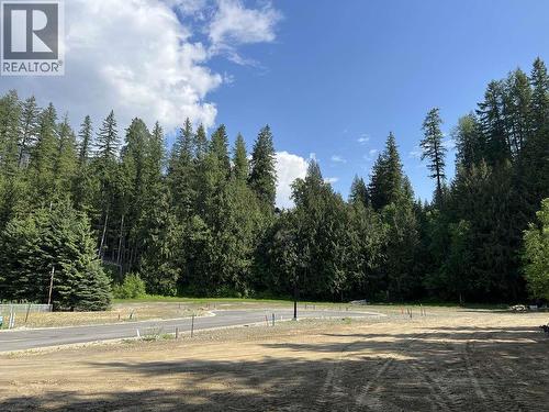 Sl 2, 4-1445 Illecillewaet Road, Revelstoke, BC 