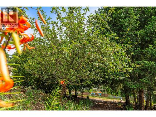 2907 Gyp Road, Falkland, BC - Outdoor