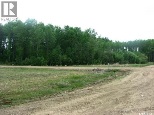 5 Fresno Street, Big River Rm No. 555, SK 