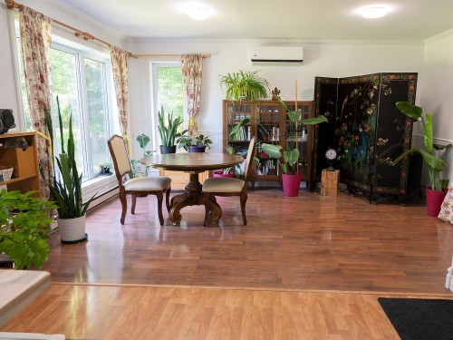 Salon - 19 Ch. Du Bel-Air, Saint-Sauveur, QC - Indoor