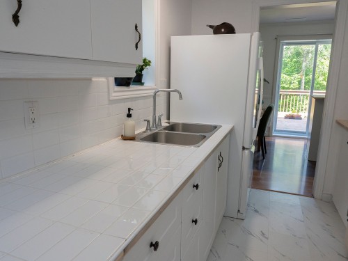Cuisine - 19 Ch. Du Bel-Air, Saint-Sauveur, QC - Indoor Photo Showing Kitchen With Double Sink
