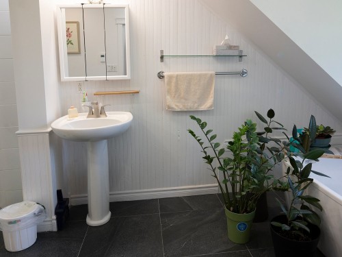 Salle de bains - 19 Ch. Du Bel-Air, Saint-Sauveur, QC - Indoor Photo Showing Bathroom