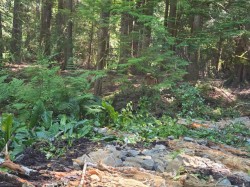 6155 Kirby Rd  Sooke, BC V9Z 0L7