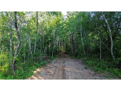 Lot Route 10, Coles Island, NB 