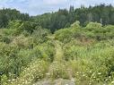 3 Lots Meagher Road, Hays River, NS 