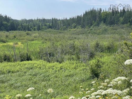 3 Lots Meagher Road, Hays River, NS 