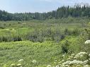 3 Lots Meagher Road, Hays River, NS 