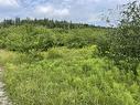 3 Lots Meagher Road, Hays River, NS 