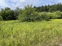 3 Lots Meagher Road, Hays River, NS 
