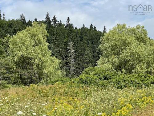 3 Lots Meagher Road, Hays River, NS 