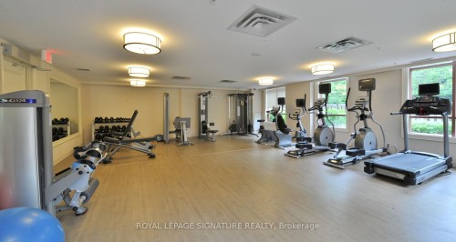 308-23 Rean Drive, Toronto, ON - Indoor Photo Showing Gym Room