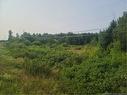 3.7 Acres Route 180, South Tetagouche, NB 