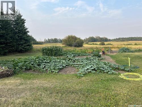Turtleford Acreage, Mervin Rm No.499, SK - Outdoor With View