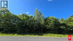 Lot Des Chalets Road  Saint-Arthur, NB E3N 5P3