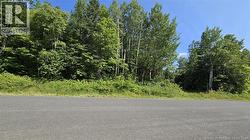 Lot Des Chalets Road  Saint-Arthur, NB E3N 5P3