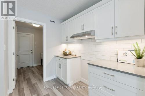 169 Styles Drive, St. Thomas, ON - Indoor Photo Showing Kitchen