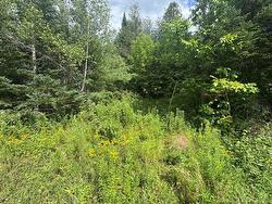 25-2 Route 620  Estey's Bridge, NB E3A 6K4