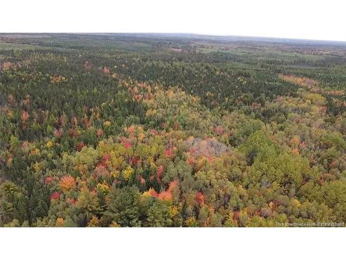 Vacant Lot Upper Salmon Creek, Upper Salmon Creek, NB 