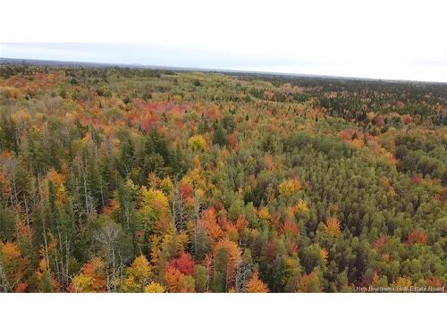 Vacant Lot Upper Salmon Creek, Upper Salmon Creek, NB 