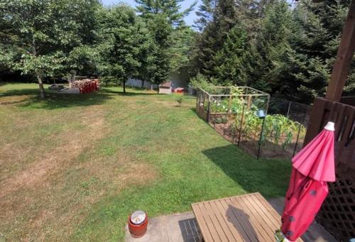 Cour - 122 Ch. Renaud, Val-Des-Bois, QC - Outdoor